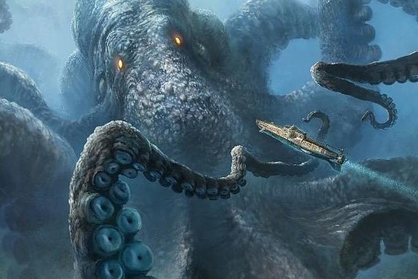 Kraken 20at net
